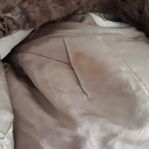 VTG Hudsons Detroit Fur Stole